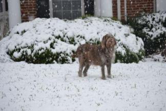 Your Snow Photos