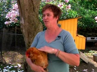 Mom Upset Over Pet Chicken Being Killed, Eaten
