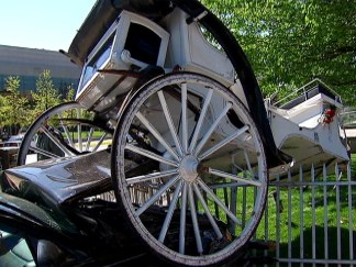 Five Hurt After Old City Horse Carriage Crash