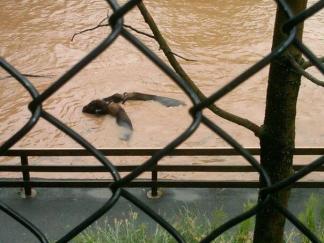 Your Wild Weather Photos
