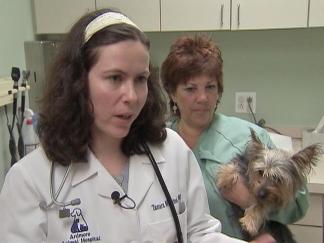 Vet Clears Air After Rabies Bite Misinformation