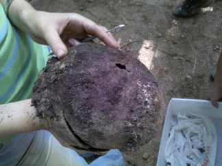 Irish Skulls Reveal Violent End