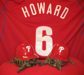 Phillies Pet Phanatics