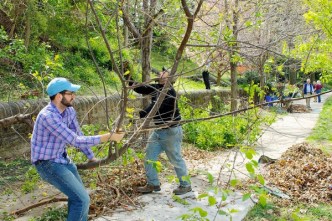 Mifflin Arboretum Gets a Makeover