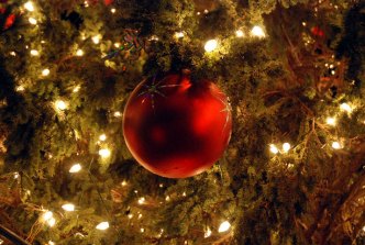 How to Recycle Your Christmas Tree