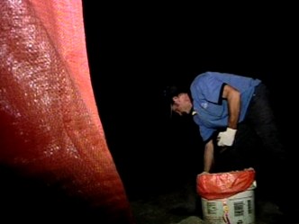 Earl Preps Down the Jersey Shore
