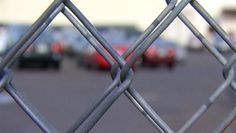Paying to Get a Stolen Car Back?