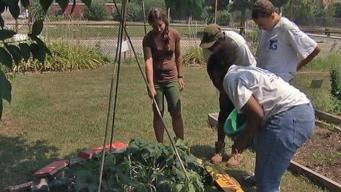 Kids Grow as Their Garden Grows