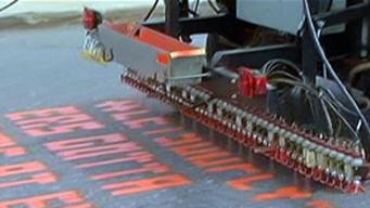 Orange Tweets Decorate Flyers Parking Lot