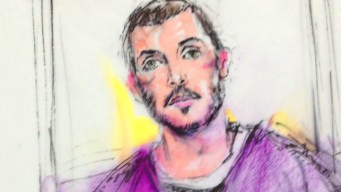 Holmes May Plead Insanity in Movie Theater Massacre
