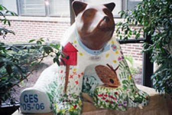Another Bear Stolen in Boyertown