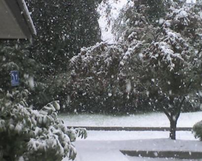 Snow and more snow
