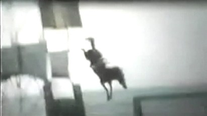 Return of Diving Horses Sparks Controversy