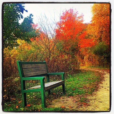 Your October #PhillyGram Photos