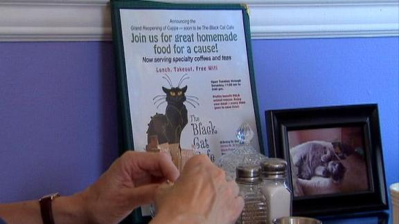Pet Project: New Cafe Gives Back to Cats