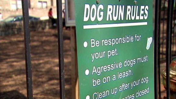 Dawn's Pet Project: Dog Park Safety