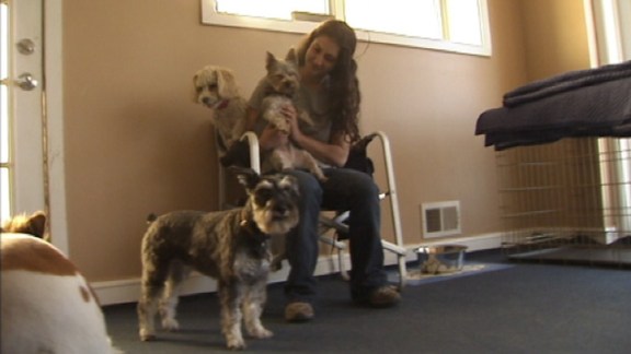 Doggy Daycare