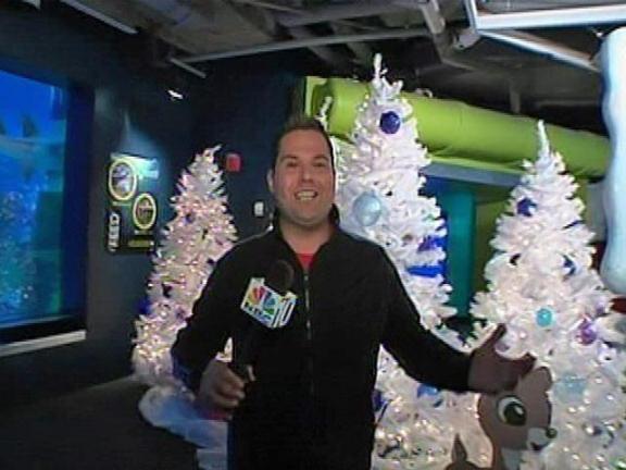 Christmas at the Aquarium