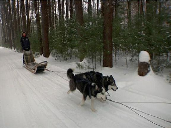 Skytop Lodge