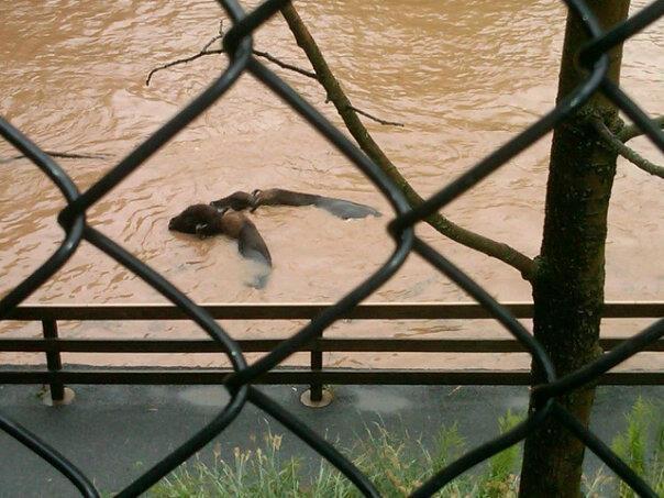 Your Wild Weather Photos