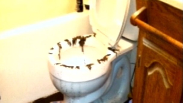 Raw Sewage Spills Into Levittown Homes 