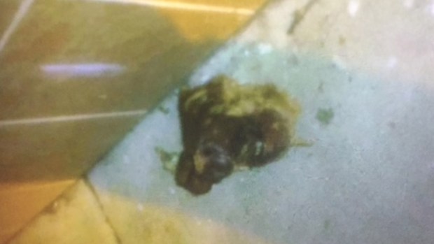 Muslims Live in Fear After Backlash