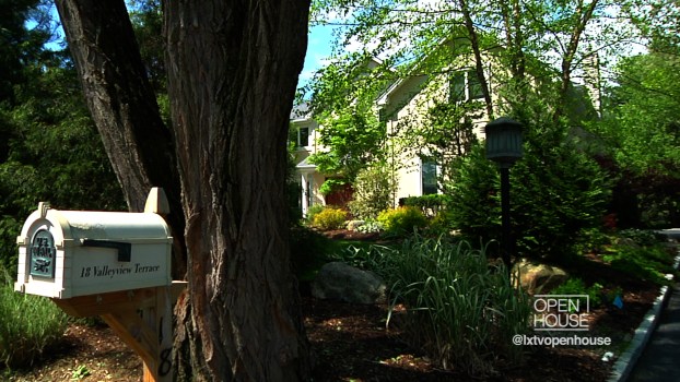 Experts Examine the American Dream