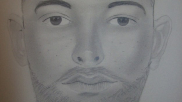Girl Fights Off Attempted Abduction: Police