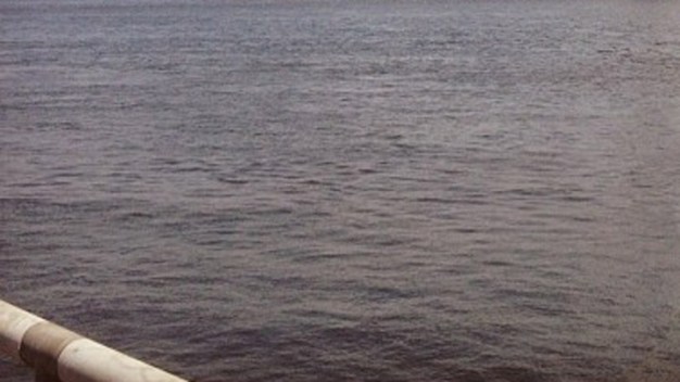 2 Men Rescued After Boat Runs Aground 
