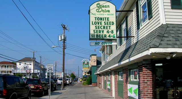 Top Spots for Barflies at the Beach