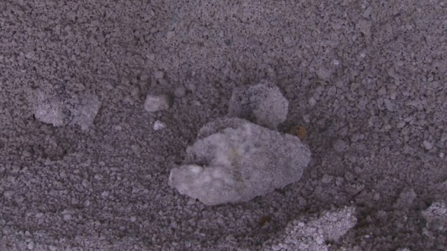 Over 50 towns in Berks County say defective rock salt is causing a big problem during cleanup efforts for snow storms. NBC10's Doug Shimell shows us how.