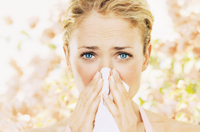Allergies Blow: Tips to Survive the Season