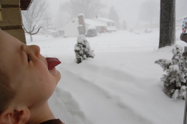 Your Pics: The Best of the Blizzard: Part 1