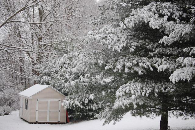 Your Photos: Morning Snow