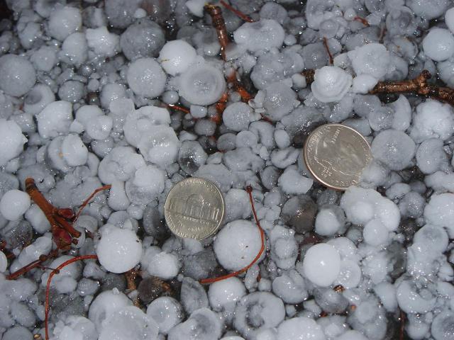 Your Pictures: Hail Madness