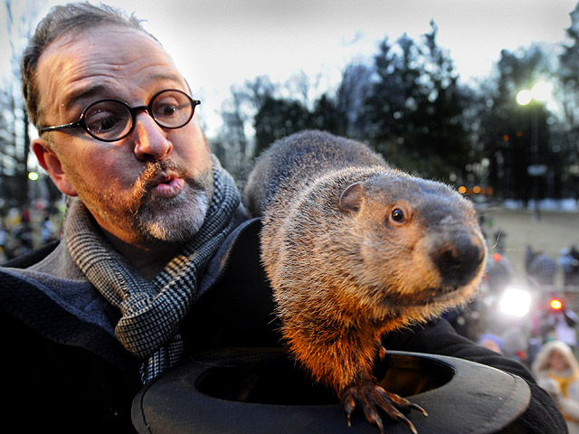 Punxsutawney Phil: