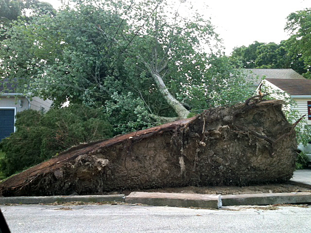 Disaster Loans for Derecho Damage