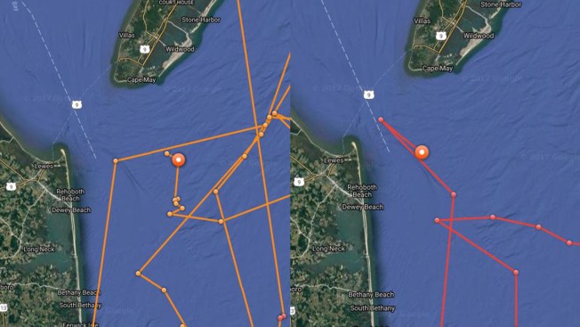 Shark with Twitter account detected off New Jersey coast Shark with Twitter account detected off New Jersey coast
