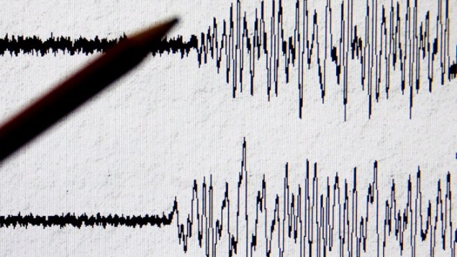 A 2.1 magnitude quake rattled people and animal alike early Friday in part of Cape May County. NBC10's Monique Braxton talks to folks near the epicenter.