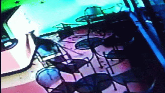 The owner of Daddy-O's Frozen Yogurt on Jackson Road released surveillance video to NBC10, showing the deer's terrifying leap into the store. <strong>WARNING:</strong> Some may find this video disturbing.
