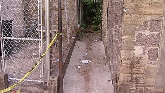 The woman was found shot to death around 2 a.m. Saturday in an alleyway in Nicetown.