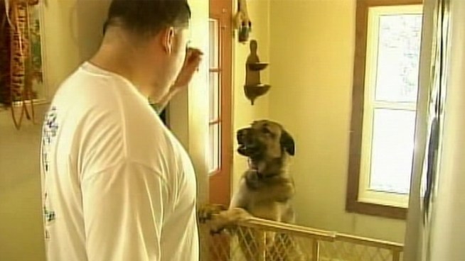 A South Jersey police officer shot and killed a rabid raccoon that attacked his dogs in his own back yard, according to authorities.
