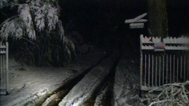 An elderly man died while sleeping in his Berks County home after a snow-covered tree fell on top of him.