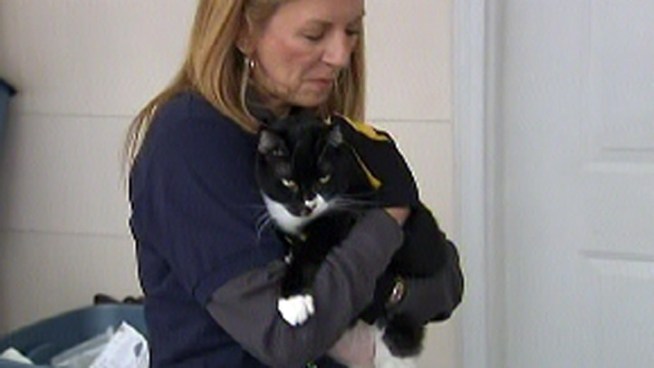 Before Sandy hit many Jersey Shore families had to make the difficult decision to leave their pets behind. Rescuers say they are still finding animals alive in badly damaged homes. NBC10's Ted Greenberg reports.