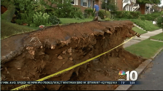 Thursday night's storms were fast-moving and left behind some major damage in our area. NBC10's Marisa Brahney reports outside a home in Roxborough, where a giant tree toppled over in the front yard.