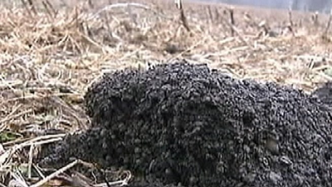 Residents of a Lynn Township neighborhood are upset by the fertilizer spread on farm fields nearby. They say the fertilizer made of human waste has seeped into their drinking water.