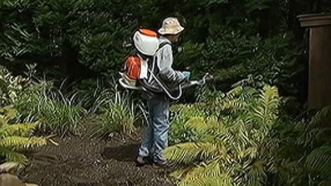 A 54-year-old Falls Township woman had the first reported case of West Nile Virus in Bucks County. Crews sprayed areas in the county on Monday including creeks in Levittown. NBC10's Doug Shimell spoke to concerned residents.