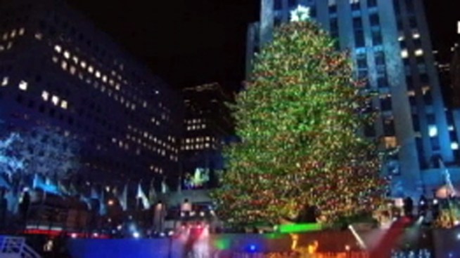 Ever wonder what happened to last year's tree at Rockefeller Center? NBC10's Monique Braxton tells you how it helped build Habitat for Humanity homes.