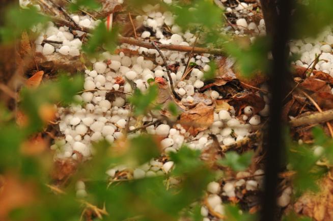The Science of Hail