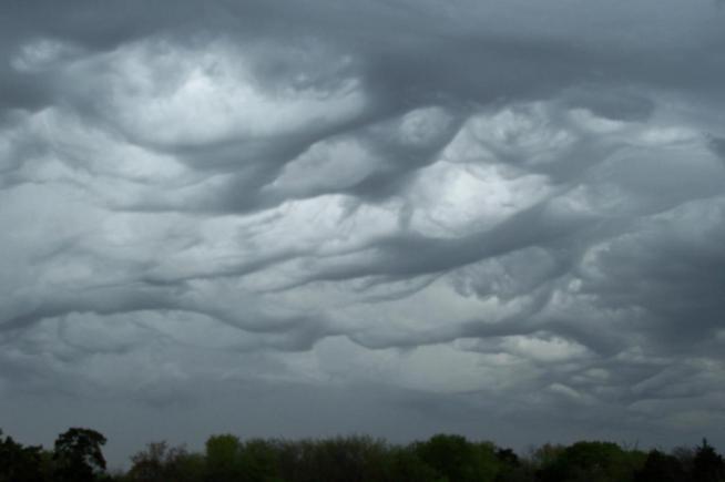 More Showers and Storms Saturday